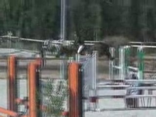 FANNY PEARL D3P MEYREUIL 5 04 08