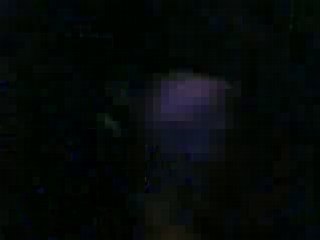 Samedi 05 Avril 08 a montardon ( fête d ela bière )