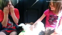 Las diferentes reacciones de quienes recibieron un perrito como regalo