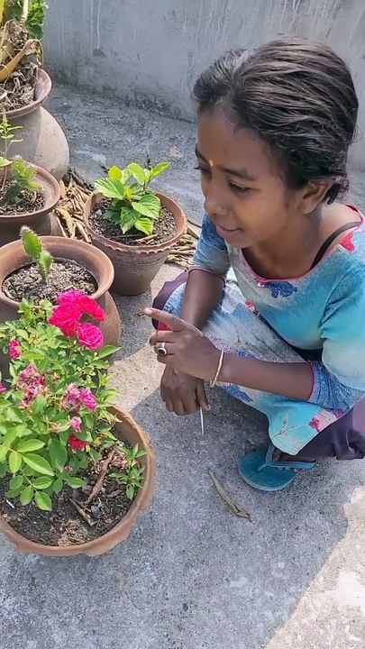 पूरा गांव आज छत से देखूंगी मजा आएगा  | Village tour from my terrace  | village terrace