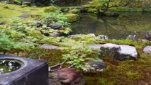 Japanese garden. Beautiful moss garden. Jokanen Garden.Jardin japonais, beau jardin de mousse et Jokanen.