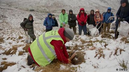Schotten pflanzen Wälder für besseres Klima