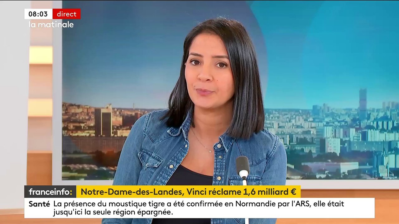 Le groupe français Vinci réclame une indemnité de 1,6 milliard d’euros à l’Etat pour l’abandon du projet d’aéroport à Notre-Dame-des-Landes, dont il devait être le concessionnaire, indique le tribunal administratif de Nantes - VIDEO