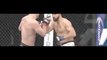 UFC 195: Stipe Miocic vs Andrei Arlovski (1/2/2016)