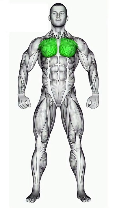 Effective Cable Chest Workout for Beginners #chestworkout