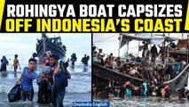 Boat carrying Rohingya refugees capsizes off coast of Indonesia, at least 50 feared dead | Oneindia