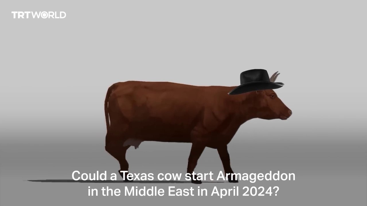 Sacrificing red cows: The Jewish prophecy to replace Al Aqsa