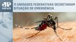 Brasil se aproxima de 2 milhões de casos de dengue em 2024