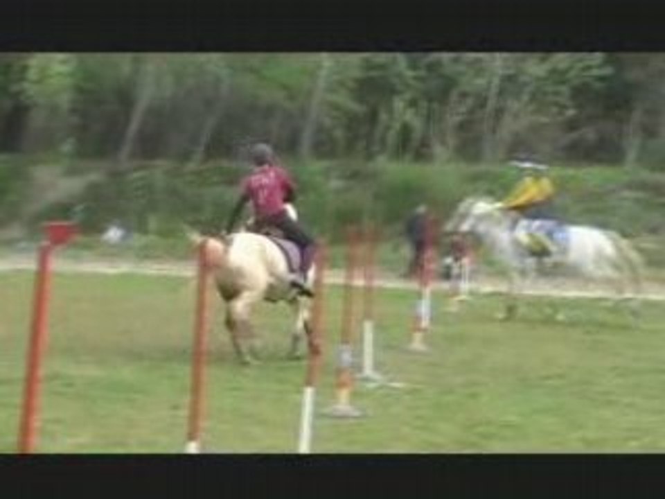 Poney
