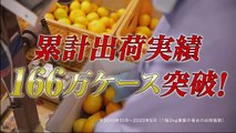 ミステリー・セレクション・血痕２ 警科研 湯川愛子の鑑定ファイル