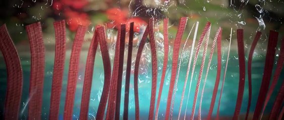 完美世界第155集免费在线观看｜爱壹帆