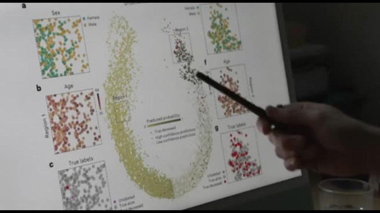 L'algoritmo che predice le fasi della vita e la morte