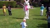 Conejos de Pascua aterrorizan a niños