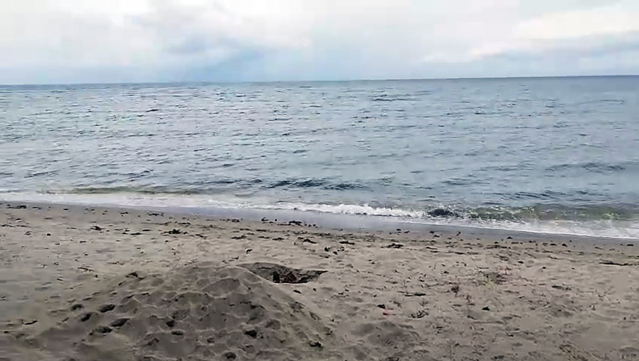 BEACH BANGAR ELYU