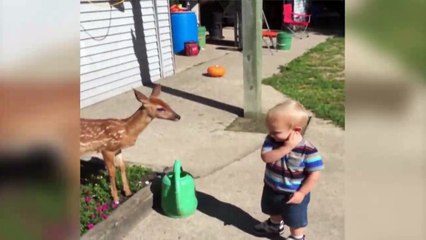 Télécharger la video: #Cute y divertidos animales (Recopilación marzo 2016)