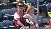 Hombre y su perro el cetro de las miradas en paritdo de beisbol