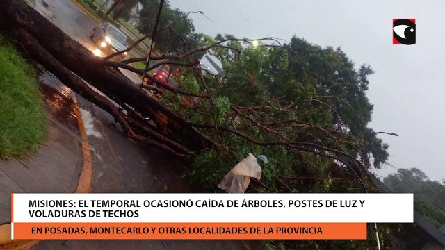 Misiones el temporal ocasionó caída de árboles, postes de luz y voladuras de techos