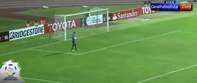 Tachira vs Pumas: Perro se divierte jugando en la cancha - Copa Libertadores 2016