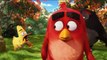 The Angry Birds - Official Movie CLIP: Mighty Eagle Noises (2016) HD - Jason Sudeikis, Josh Ga Movie