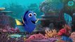 Finding Dory Japanese Trailer Reveals New Characters