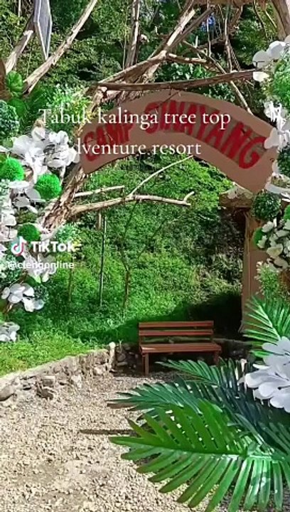 Tree top...