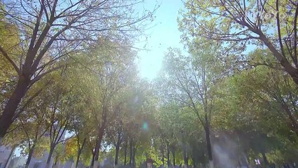 My Tofu Boy 08 (Zhou Junyu, Lu Yangyang) First DK Manga Campus Adventure 同学今天很和睦ENG SUB