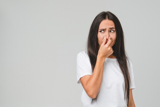 Animaux de compagnie : les 6 raisons pour lesquelles ils peuvent parfois sentir mauvais