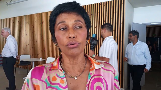 Des récupérateurs d'eau bientôt dans les écoles de Saint-Denis