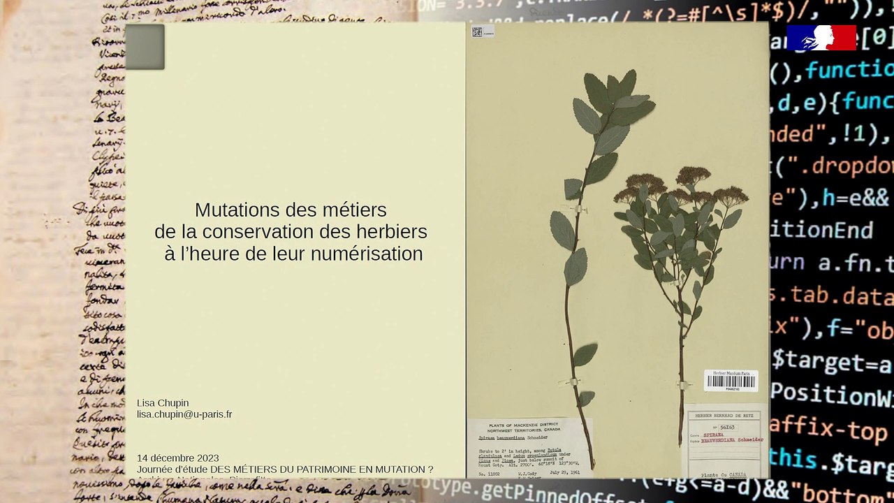 Journée d'étude - Métiers du patrimoine en mutation ? - 7/12 - Session II - Mutations des métiers des responsables de collections en cours de numérisation