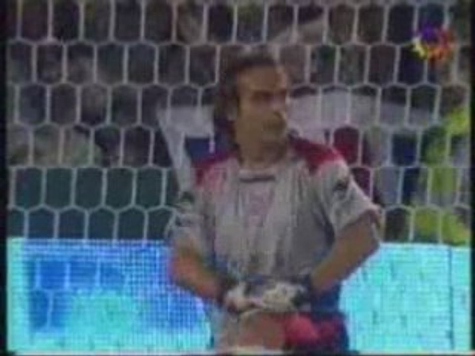 Vs tigre