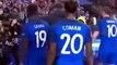 Aficionados y jugadores de Islandia muestran su enojo después de perder con Francia 5-2