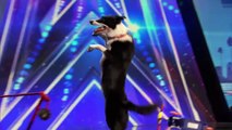 AGT 2016 - Pato and Ginger The Dog: Audience Goes Nuts for Amazing Dog Tricks