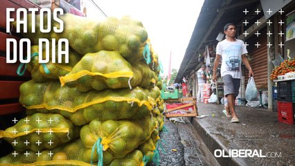 Entressafra da laranja encarece produto em Belém; regional é o tipo que mais tem saída