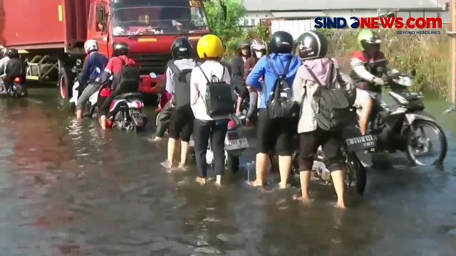 Terendam Banjir, Jalan Utama Demak-Jepara Nyaris Lumpuh