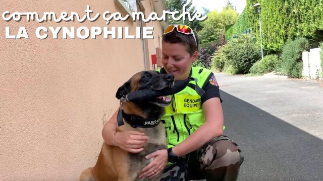 Comment sont entraînés les chiens policiers