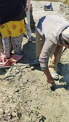 Hard. Working people in nepal