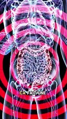 Le microbiote c’est 2 kilos de bonnes bactéries