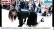 Bella Hadid Takes Painful Tumble On Michael Kors Runway While Kendall Jenner Stays Upright