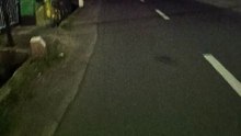 vlog