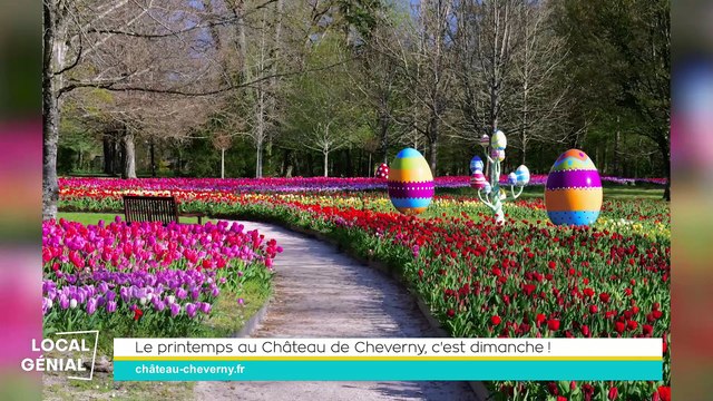 Local Génial - 21/03/2024 - Le printemps au château de Cheverny, c’est dimanche !