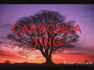 NIALL ND FERGS CHEM PROJECT