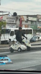 Pug Rides in Motorbike Sidecar