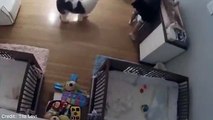 Boy 9 catches baby brother who falls from change table
