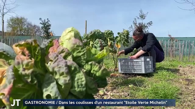 GASTRONOMIE / Dans les coulisses d'un restaurant Étoile Verte Michelin
