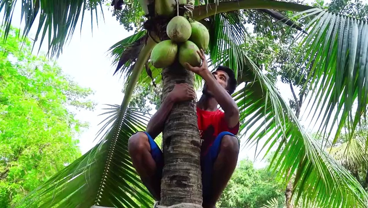 Totally Amazing Funny Video New Comedy Video 2024