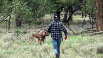 Polemica por Hombre que Golpea a canguro en la Cara