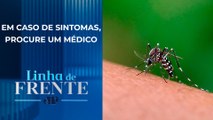 Saiba quais medicamentos são proibidos no tratamento contra dengue | LINHA DE FRENTE