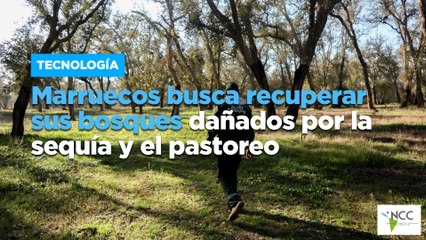 Marruecos busca recuperar sus bosques dañados por la sequía y el pastoreo