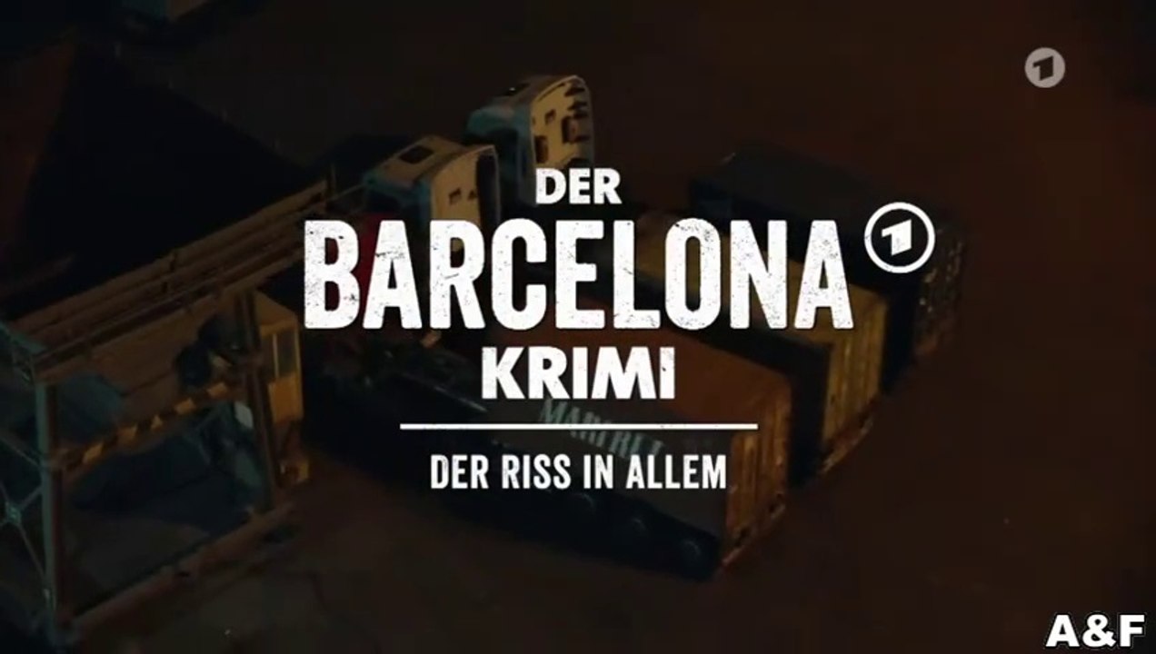 Der Barcelona-Krimi -06- Der Riss in allem