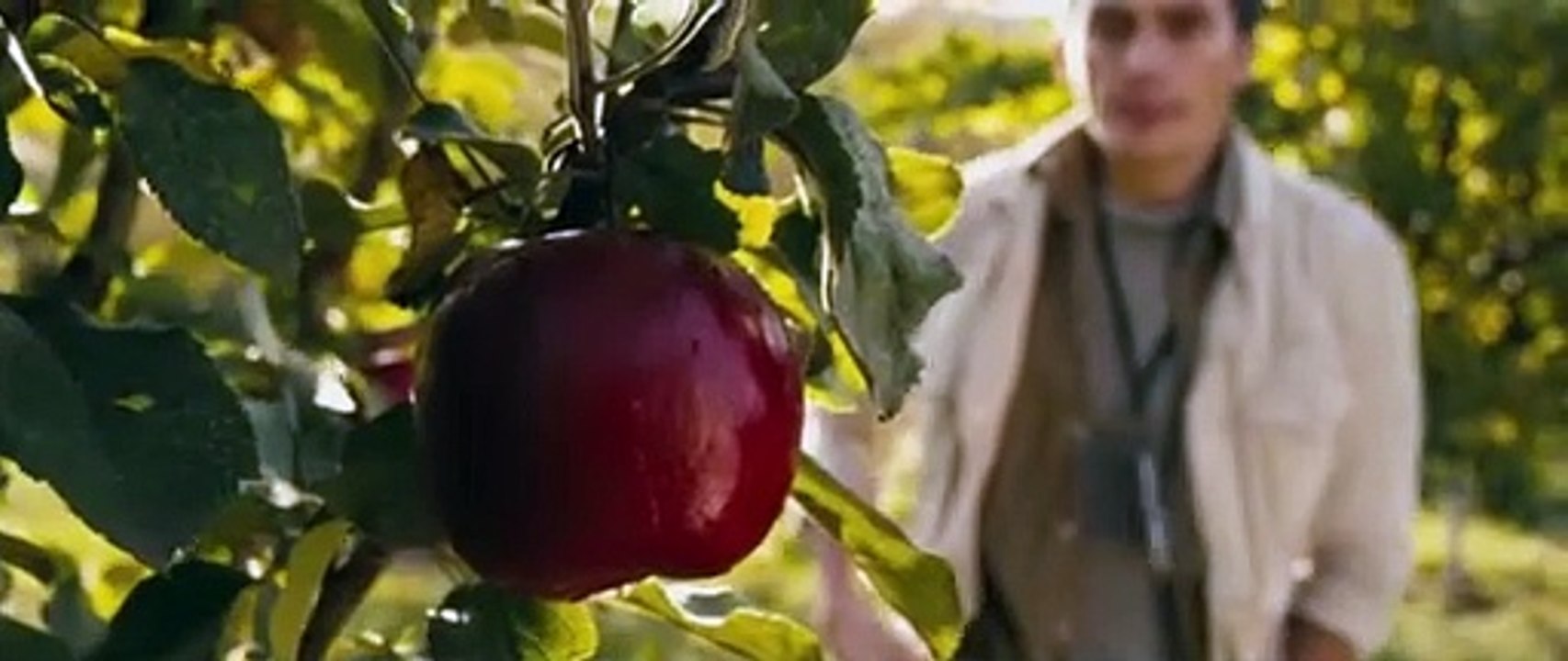 5 Days of War (2011) stream deutsch anschauen